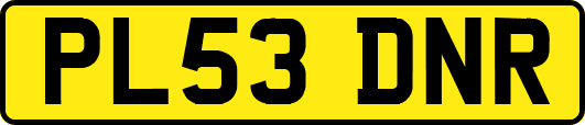 PL53DNR