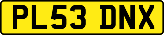PL53DNX