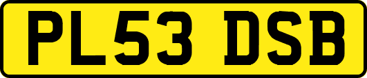 PL53DSB