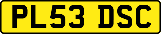 PL53DSC