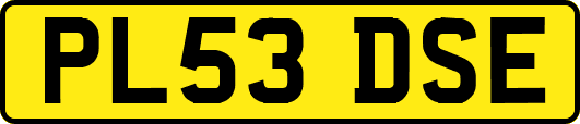 PL53DSE