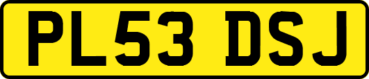 PL53DSJ