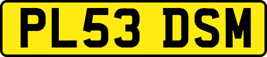 PL53DSM