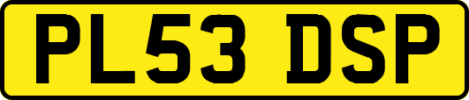 PL53DSP