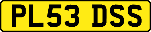 PL53DSS