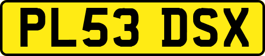 PL53DSX