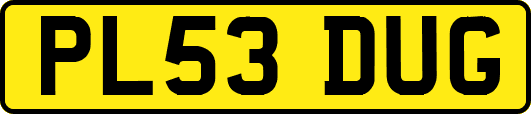PL53DUG
