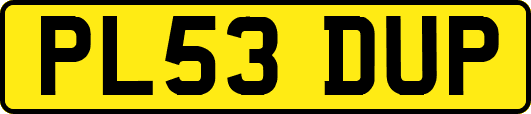 PL53DUP