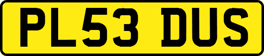 PL53DUS