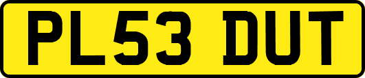 PL53DUT