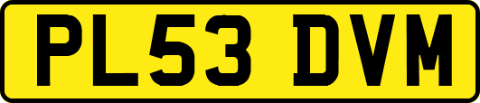PL53DVM