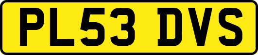 PL53DVS