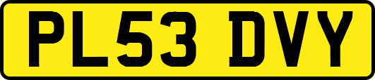 PL53DVY