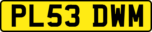 PL53DWM