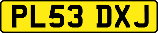 PL53DXJ