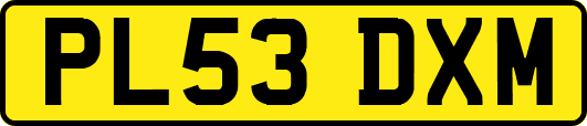 PL53DXM