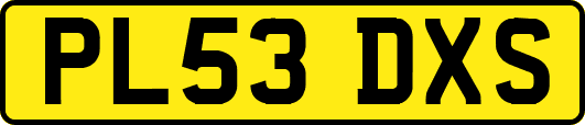 PL53DXS