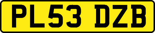 PL53DZB