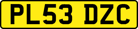 PL53DZC