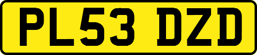 PL53DZD