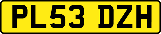 PL53DZH