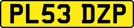 PL53DZP