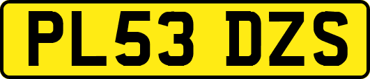 PL53DZS
