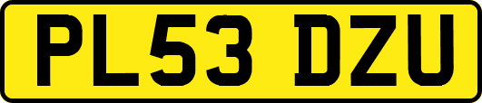 PL53DZU