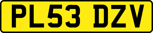 PL53DZV