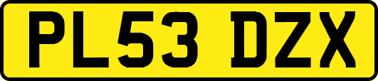 PL53DZX