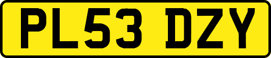 PL53DZY