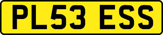PL53ESS