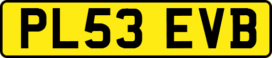 PL53EVB