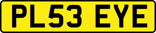 PL53EYE