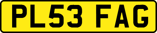 PL53FAG