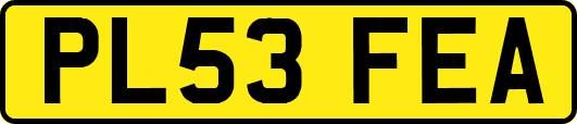 PL53FEA