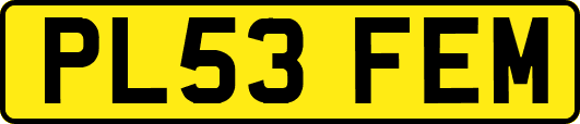PL53FEM