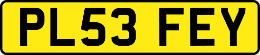 PL53FEY
