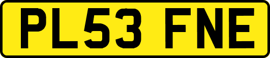 PL53FNE