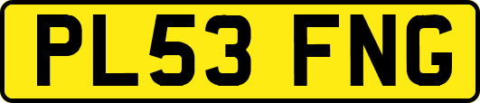 PL53FNG