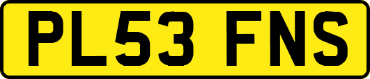 PL53FNS