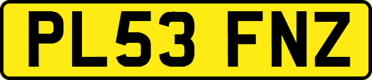 PL53FNZ