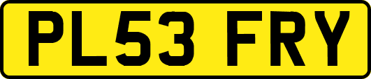 PL53FRY