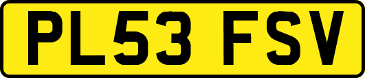 PL53FSV