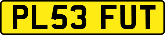 PL53FUT