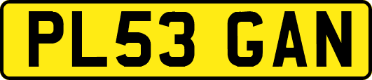 PL53GAN