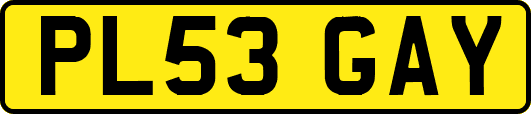 PL53GAY
