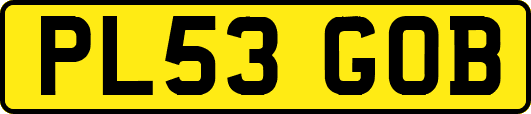 PL53GOB