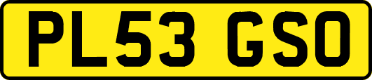 PL53GSO