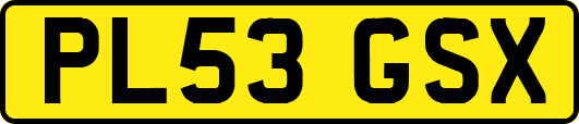 PL53GSX